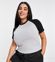 Серый облегающий кроп-топ с контрастными черными рукавами реглан ASOS DESIGN Curve-Разноцветный