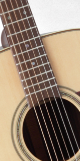 PRO SERIES 5 P5J Takamine