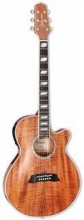 TSP178ACKN Takamine