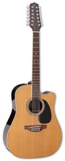 TT SERIES EF400SC-TT Takamine