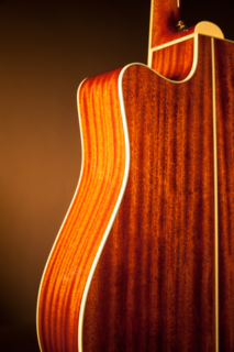 PRO SERIES 4 P4DC Takamine