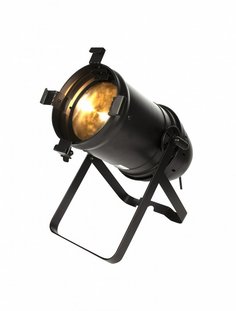 P100-W ZOOM MK II Anzhee