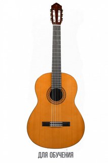 C40 Yamaha