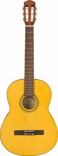 ESC-110 CLASSIC Fender
