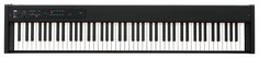 D1 Korg