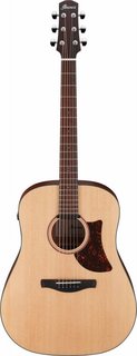 AAD100E-OPN Ibanez