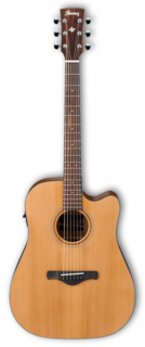 AW65ECE-LG Ibanez