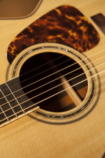 P7NC Takamine
