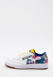 Кеды Reebok Classic Jurassic Park Club C 85