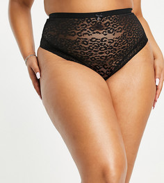 Черные кружевные бразильские трусы со звериным принтом New Look Essential Curve-Черный цвет