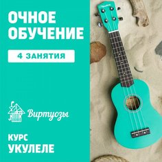 Укулеле. 4 индивидуальных занятия Unknown