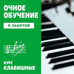 Клавишные. 8 индивидуальных занятий Unknown