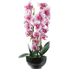 Цветок искусственный в горшке Fuzhou Light орхидея бело-бордовая, 4 цвета 62 см
