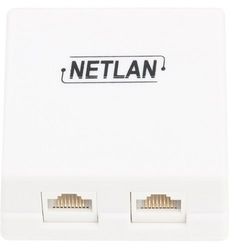 Компьютерная розетка настенная Netlan EC-UWO-2-UD2-WT-10