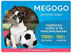 Электронный код Megogo подписка Максимальная на 3 месяца