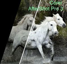 Право на использование (электронный ключ) Corel AfterShot Pro 3 ML ESD EN/DE Windows/Mac/Linux