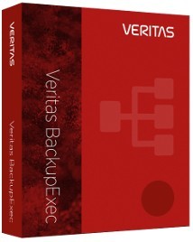 Право на использование (электронно) Veritas Essential 12 Mo Renewal For Backup Exec Agent For Win 1 Server Onpremise Standard Perpetua