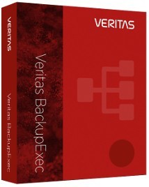 Право на использование (электронно) Veritas Essential 12 Mo Renewal For Backup Exec Agent For Linux 1 Server Onpremise Standard Perpet