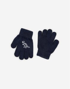 Тёмно-синие перчатки с принтом для мальчика Gloria Jeans