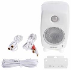 6010BWM Genelec
