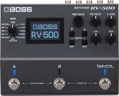 RV-500 Boss