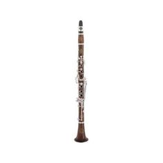 ACL 511-O Amati