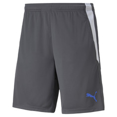 Шорты teamLIGA Training Mens Football Shorts 2 Puma