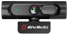 Веб-камера AVerMedia PW315