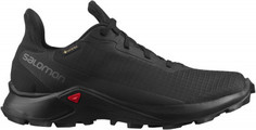 Кроссовки женские Salomon Alphacross 3 GTX W, размер 38.5