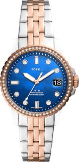 Женские часы в коллекции FB-01 Fossil