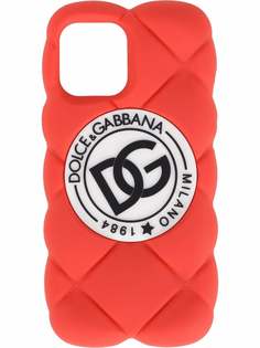 Dolce & Gabbana стеганый чехол для iPhone 12 Pro Max с логотипом DG