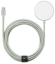 Кабель Native Union USB-C to Magnetic Wirelles Charger (шалфей)