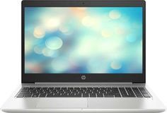 Ноутбук HP ProBook 450 G7 1B7X0ES (серебристый)