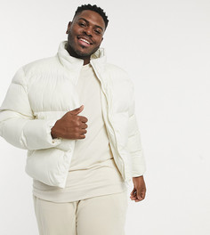Пуховик цвета экрю из экологичных материалов ASOS DESIGN Plus-Белый
