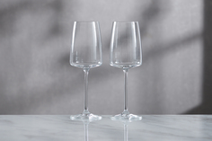 Набор бокалов для белого вина Vivid Senses Hoff