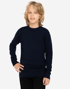 Тёмно-синий джемпер для мальчика Gloria Jeans