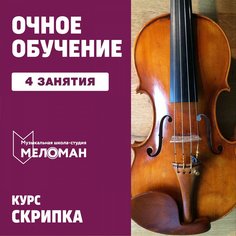 Скрипка. 4 индивидуальных занятия Unknown