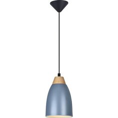 Светильник подвесной Leah TL0724H-2N Toplight