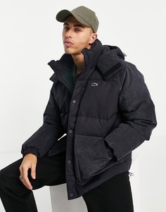 Утепленная объемная куртка Lacoste Live-Черный цвет