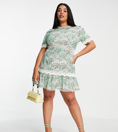 Платье мини мятного цвета с принтом морских ракушек и контрастной кружевной отделкой Never Fully Dressed Plus-Зеленый цвет