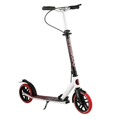 Двухколесный самокат Maxiscoo LX205A