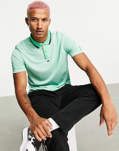 Зеленое поло Adidas Golf Equipment-Зеленый цвет