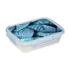 Контейнер пищевой пластик, 1.1 л, прямоуг, Violet, Мята, 39311132