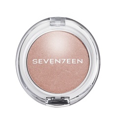 Хайлайтер для лица ILLUMINATING ALL OVER HIGHLIGHTER Seven7 Een