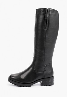 Сапоги Shoiberg 