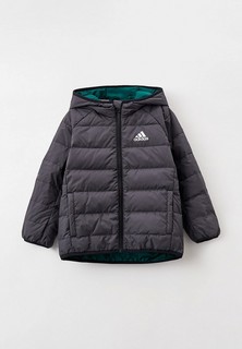 Пуховик adidas YK FROOSY JKT