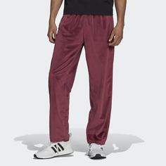 Велюровые брюки Adicolor adidas Originals