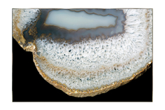 Картина в раме Ammonite Hoff