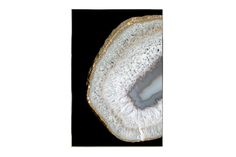 Картина в раме Ammonite Hoff