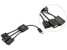 Хаб USB KS-is OTG 2xUSB 2.0 MicroUSB F - USB Type C M KS-319